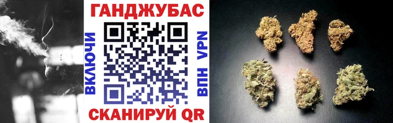 Шишки марихуана SATIVA & INDICA  Купить закладки  Канск 